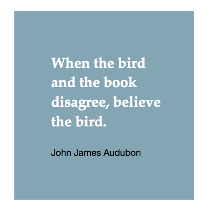 audubon